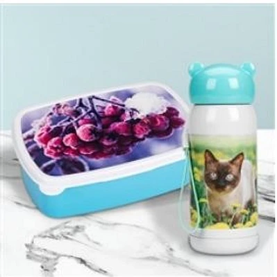 Lunch Kits