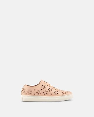 Basket - Ioane POUDRE Chaussures  Minelli