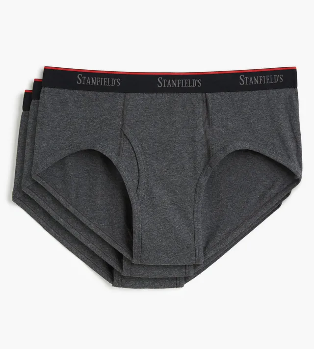 Stanfield's Men's Premium 100% Cotton Brief Underwear - 3 Pack