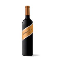 Trapiche Broquel Malbec