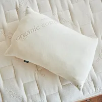 PLA Pillow with Organic Fabric (Non-toxic Kids Pillow)