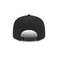 Chicago Bulls NBA Team Drip 9FIFTY Snapback