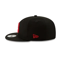 Toronto Raptors NBA Classics 9FIFTY Snapback