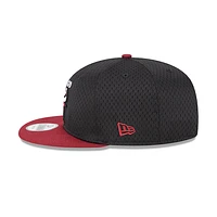 Chicago Bulls NBA Mesh Crown 9FIFTY Snapback