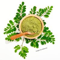 Moringa Nutrisa en polvo 200 g