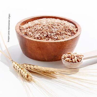Salvado de trigo Nutrisa natural 290 g