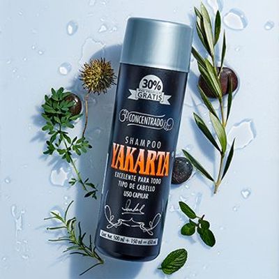 Shampoo Yakarta concentrado 650 ml