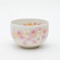 6pcs Cherry Blossoms For Gift In Box Porcelain Japanese Teapot & Teacups