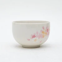 6pcs Cherry Blossoms For Gift In Box Porcelain Japanese Teapot & Teacups