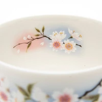 6pcs Cherry Blossoms For Gift Porcelain Japanese Teapot & Teacups