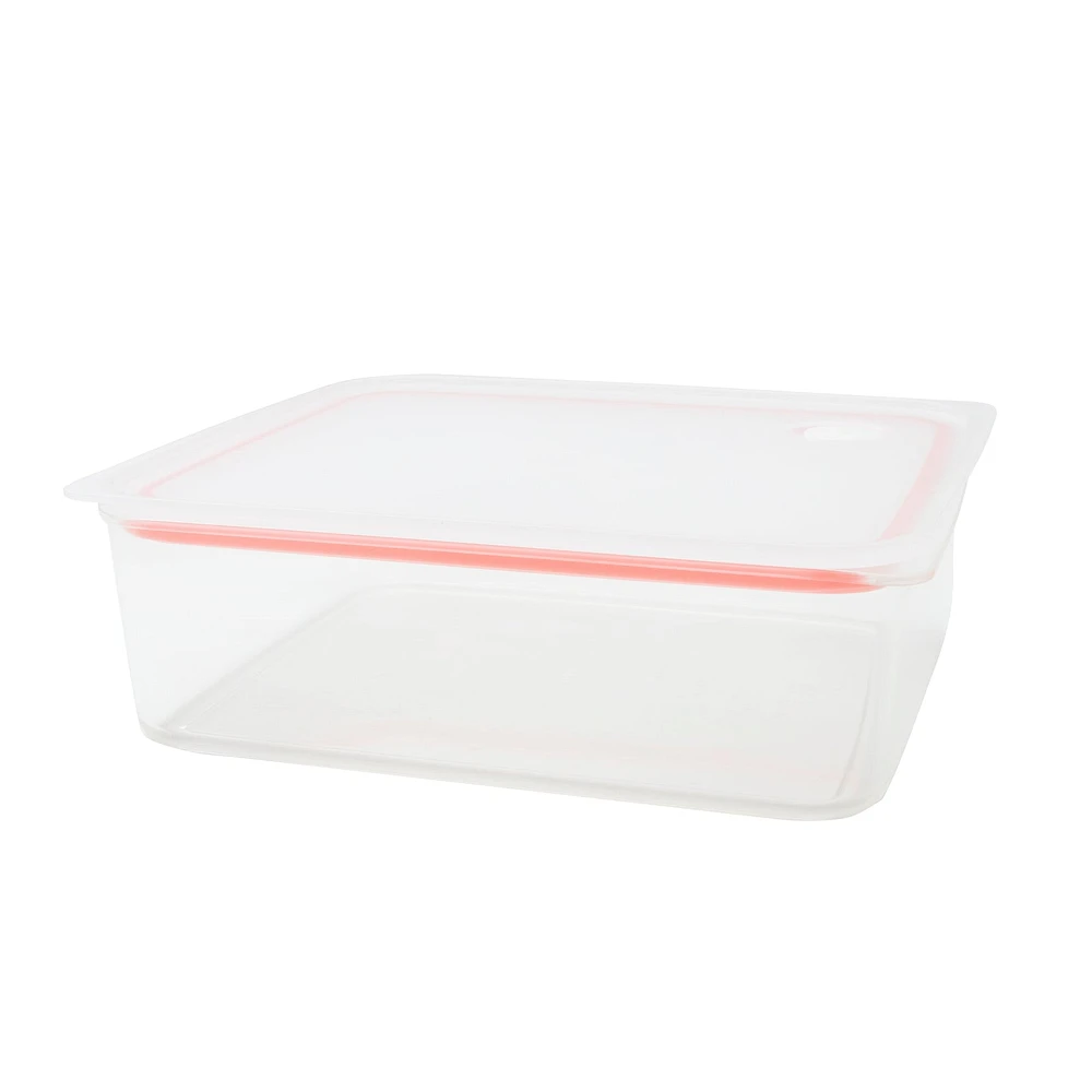 Easy Clean Sealing Container Deep L Size - Pink