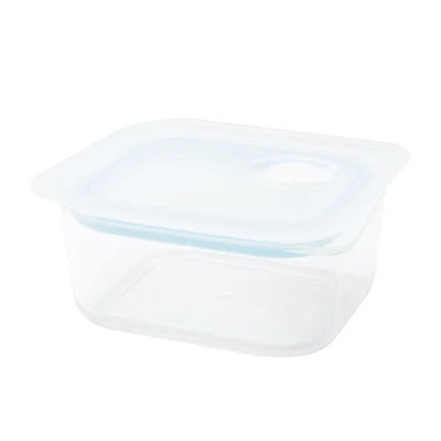 Easy Clean Shallow Small Container