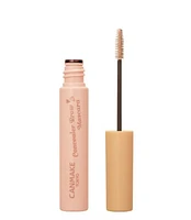 Canmake Concealer Brow Mascara - 01 Pink Beige