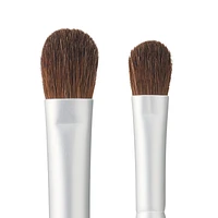 Rosy Rosa Eye Shadow Brush Set