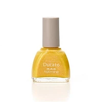 Ducato Nail Mine