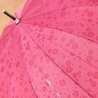 Nakatani Natural Basic Sakuramaihime Umbrella