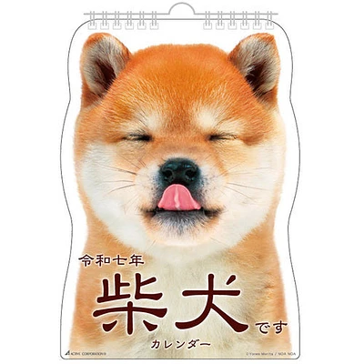 Shiba Dog Hanging 2025 Calendar