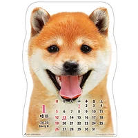 Shiba Dog Hanging 2025 Calendar