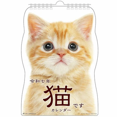 Cat Hanging 2025 Calendar