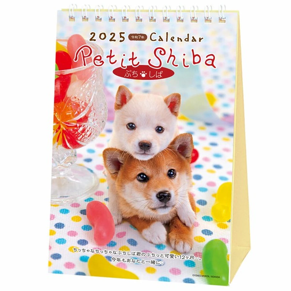 Petit Shiba Dog 2025 Desk Calendar