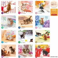 Petit Cat 2025 Desk Calendar