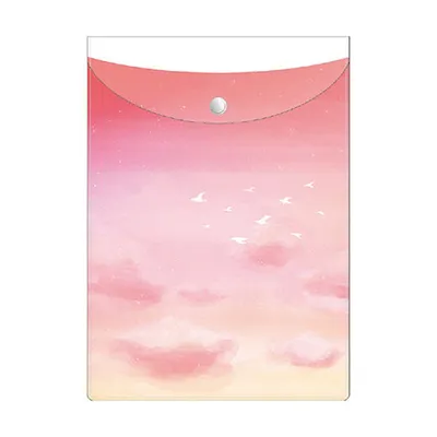 Ryuryu Flat Case Sky View A5 Migratory Bird SOFC02