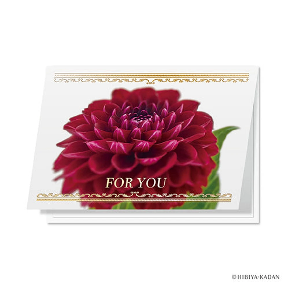 Daigo Greeting Card For you Dahlia