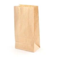 Treat Bags (Paper/BN/18x9x5.5cm (12pcs))