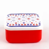 Plastic Lunch Box (Polish Flowers/Square/500mL)