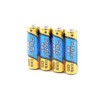 Alkaline AA Batteries (4pcs)
