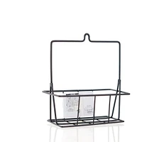 Condiments Rack (Iron/Compact)