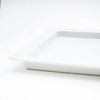 Large Rectangular Rim Porcelain Plate