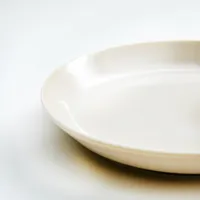 Japanese Plain Plate