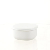 Storage Case (PP/Microwave-Safe/With Lid/Fruits/10.2x10.2cm / 340mL)