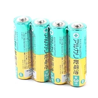 Alkaline AA Batteries (4pcs)