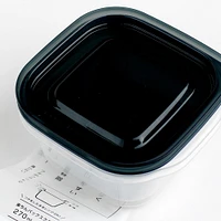 Plastic Food Container (Microwave Safe/Square/270mL (2pcs))