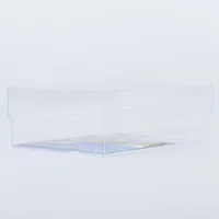 Clear Plastic Storage Tray (Type3)