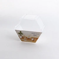 Hexagon Clear Display Stand