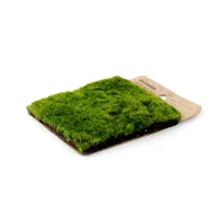 Artificial Moss Mat (GN/10x10cm)