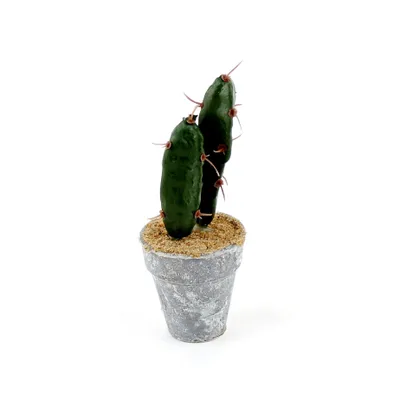 Artificial Cactus (3-Types/GN/GY)