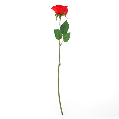 Artificial Flower (1-Head/Rose/50cm)