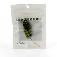 Artificial Plant (Sedum Morganianum/Flower Arrangement/Botanical/11cm)