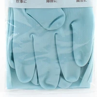 Rubber Gloves -L (Rubber/Thin/L/BL/L (1pr))