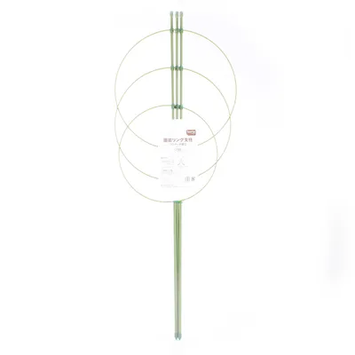 Green Plant Support (75cm)