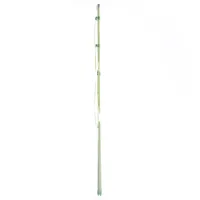 Green Plant Support (75cm)
