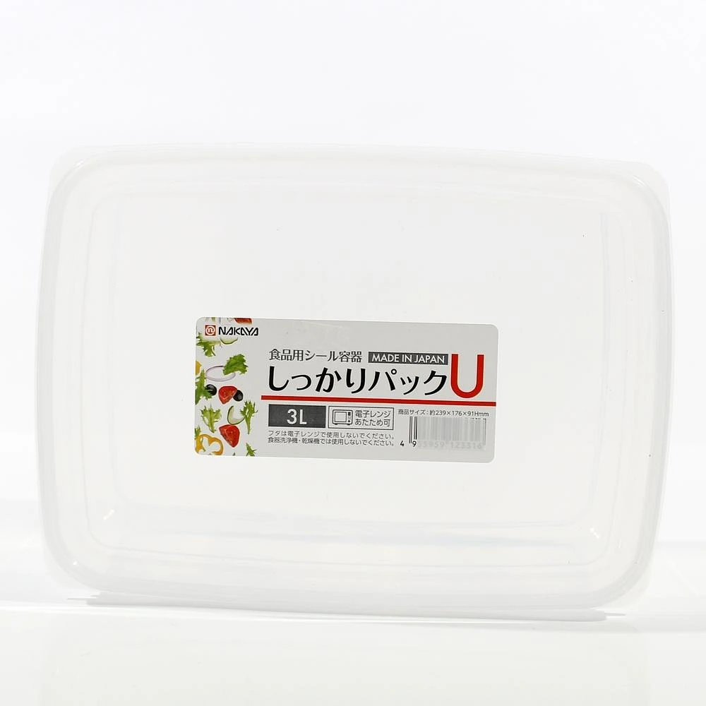 Plastic Food Container (Microwavable/Rect/CL/24.1x17.6x9.1cm / 3L)