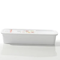 Container (PP/Microwave Safe/24x8x5cm)