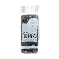 Kokubo Stain-Resistant Kitchen Sponge - Case of 10