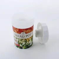 Kokubo Salad Container With Dressing Cup On Lid - 700ml - Individual Package