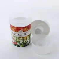 Kokubo Salad Container With Dressing Cup On Lid - 700ml - Individual Package